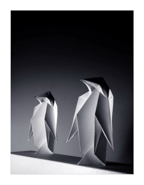 Pingu