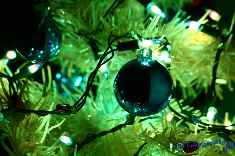 Christmas Lights