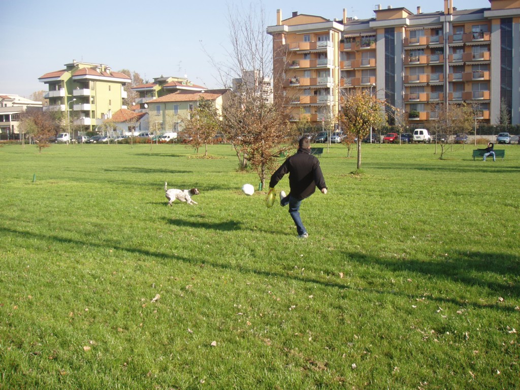 venti novembre