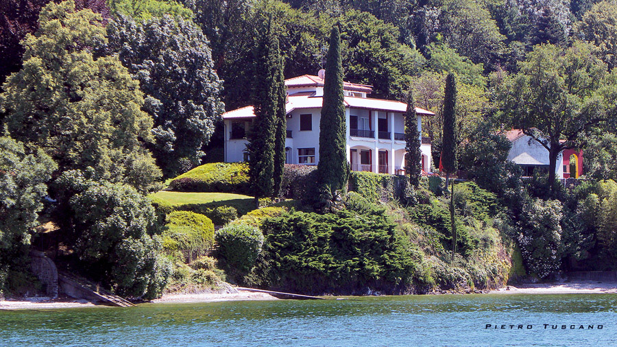 Cipressi sulle rive del lago 2