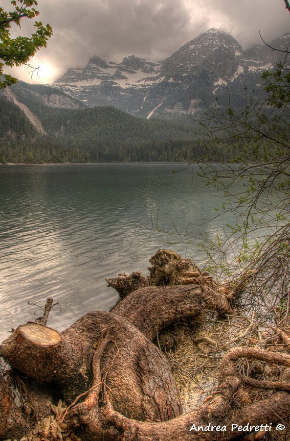 Lago Di Tovel2