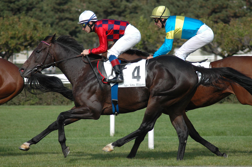 Fotofinish