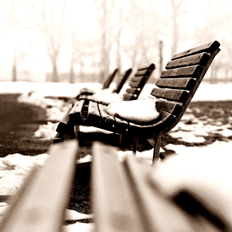 panchine