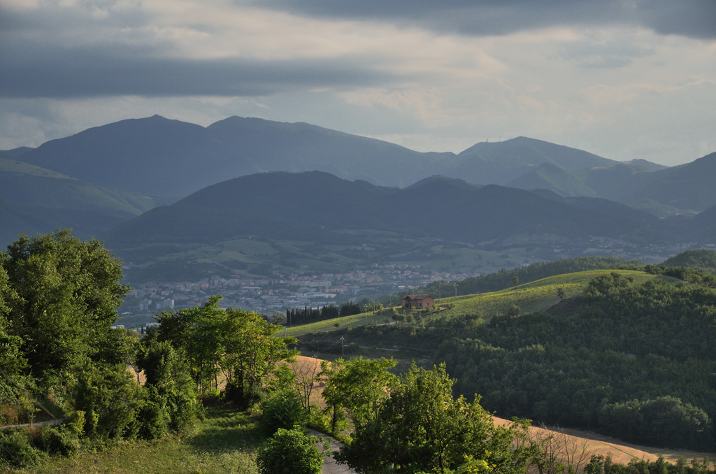 zona d'ombra