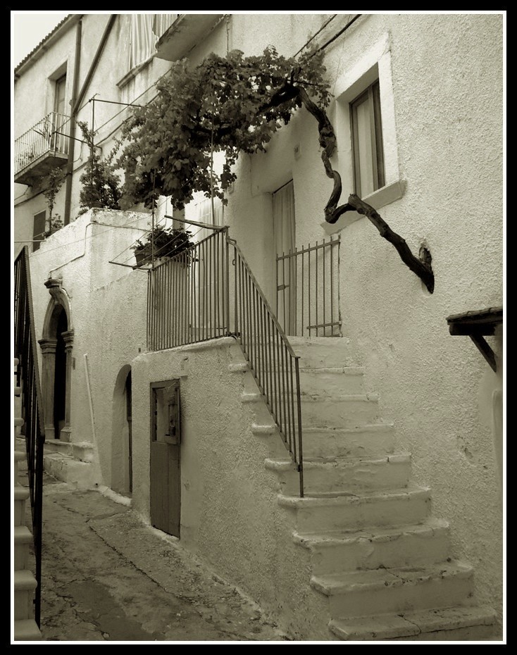 Portfolio: Gargano  6