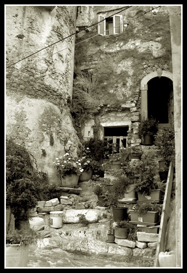 Portfolio: Gargano  4