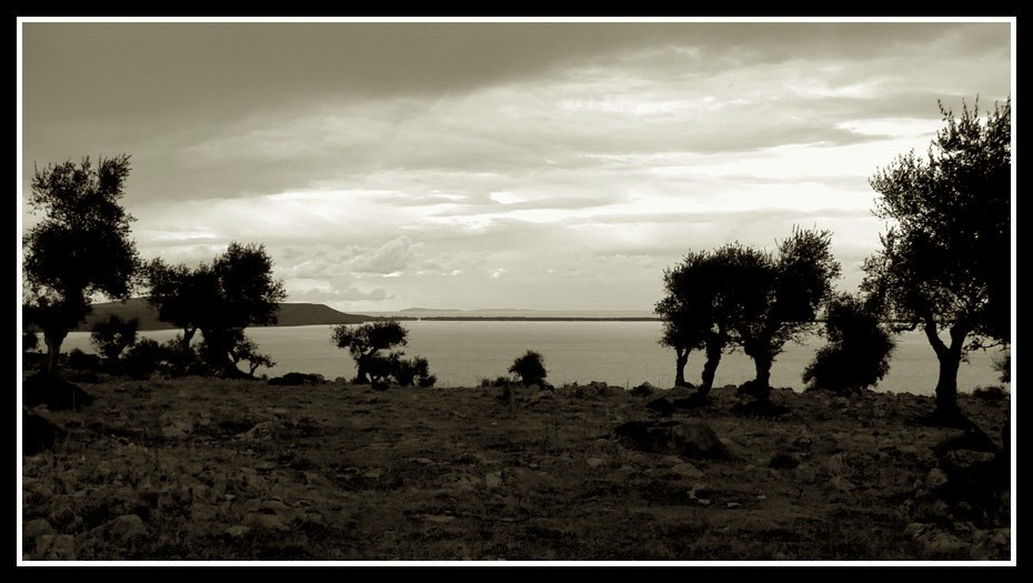 Portfolio: Gargano  0