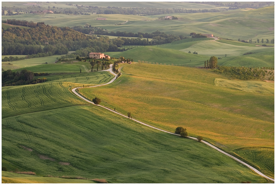 Verde collina