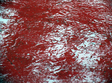 rosso rosso