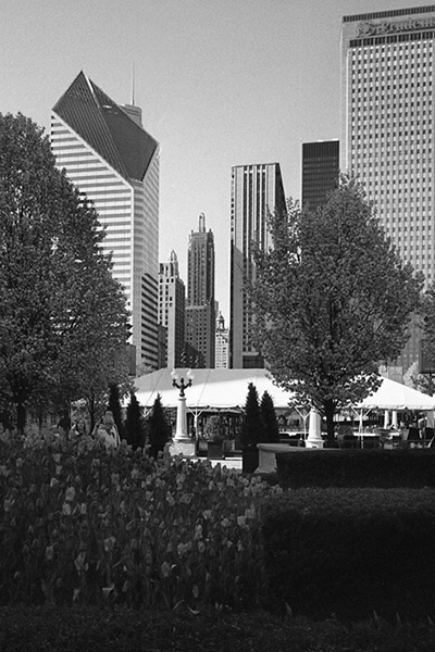 Chicago 5