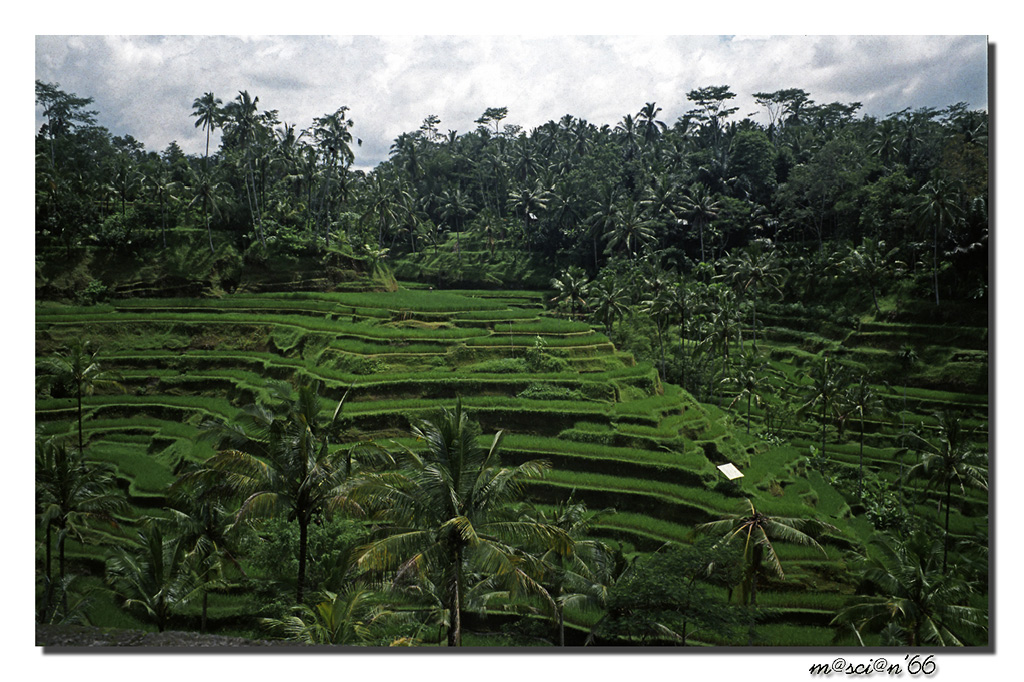 Bali