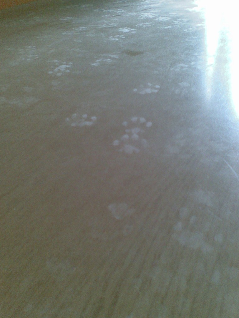 tracce