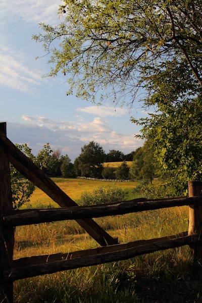 La collina reggiana
