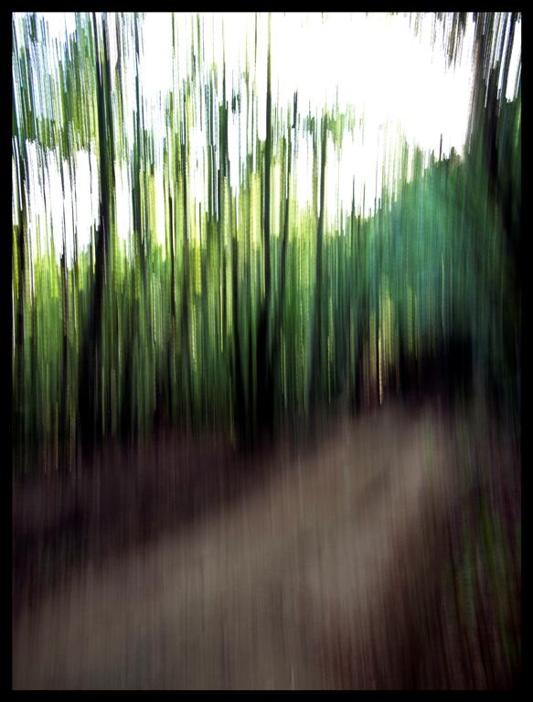 psychedelic wood