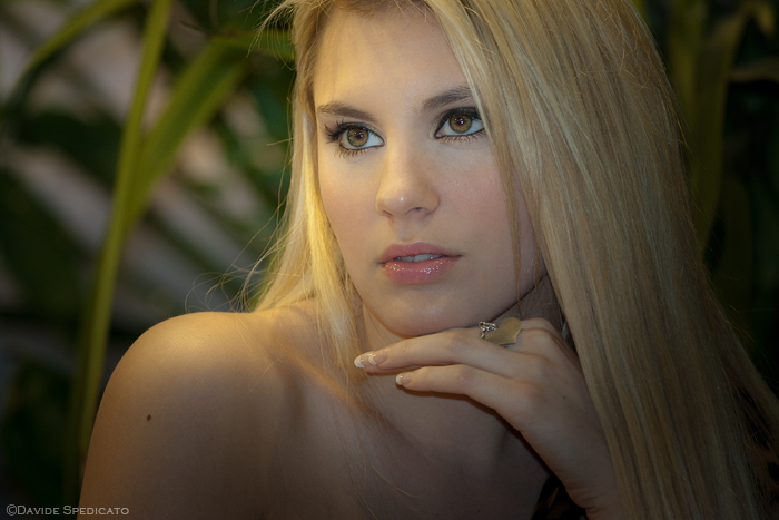 Photoshow2011 #6