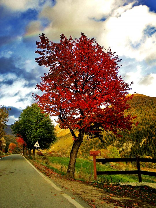 Autumn