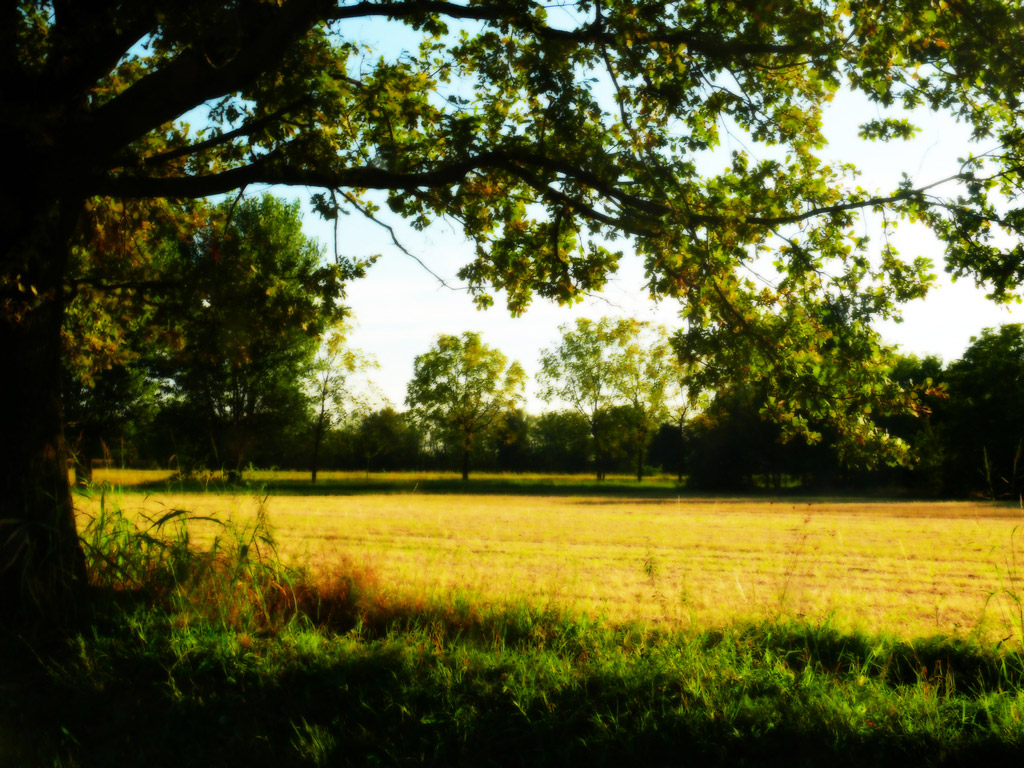 La terra e il sogno