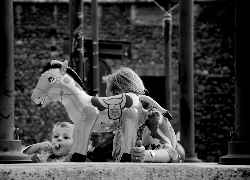 pony