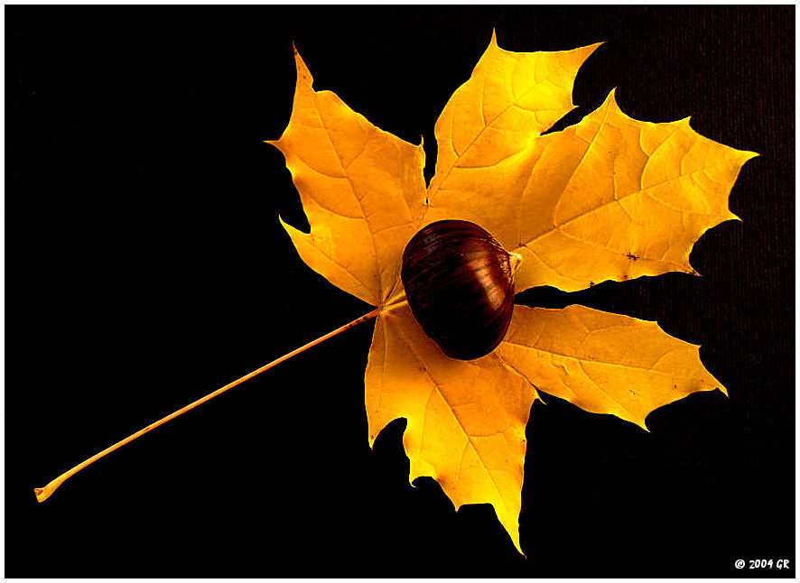 Autunno