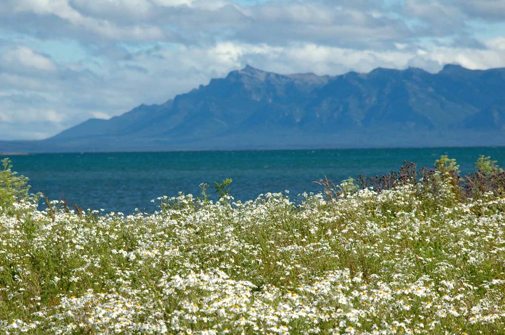 patagonia dreaming