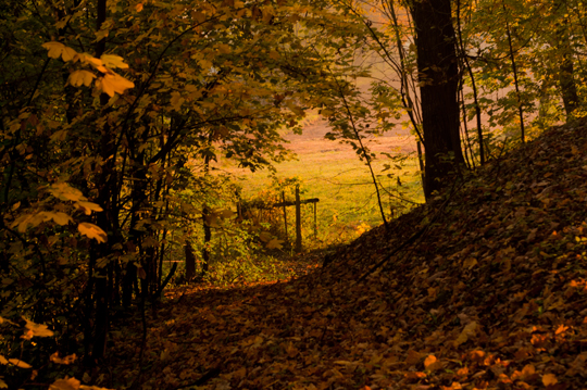 autunno