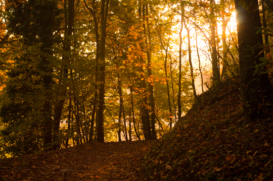 autunno01