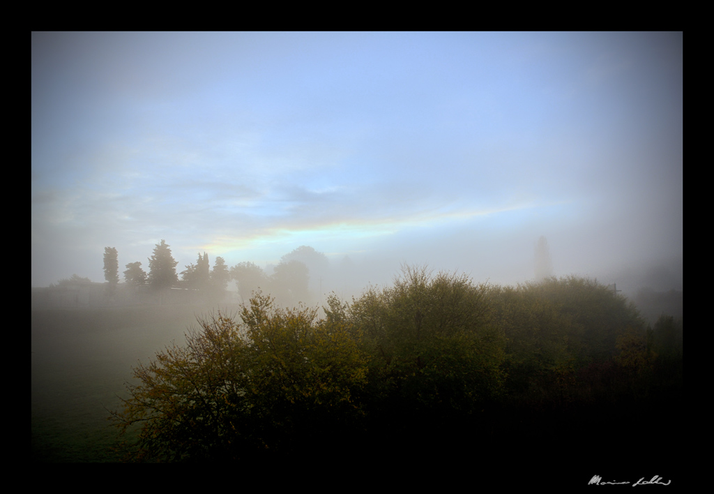 through the fog