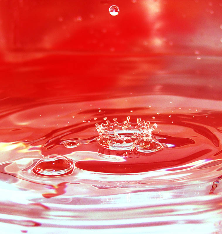 Splash