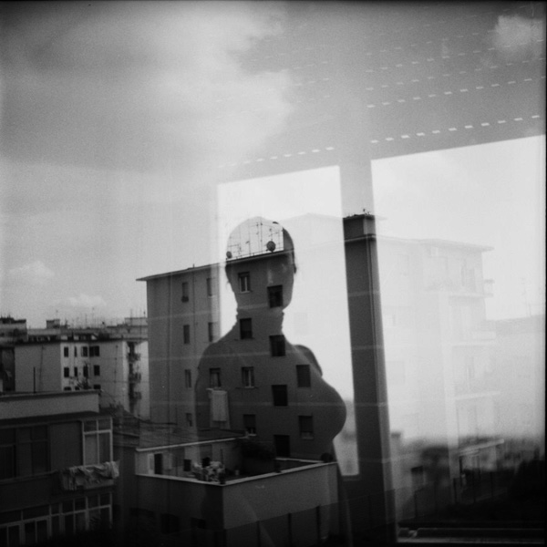 Ele in the cities