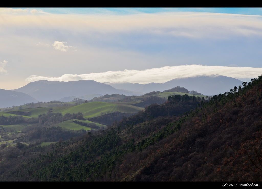 pennellate di natura