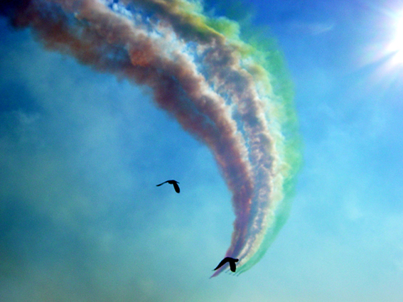 green white and red plus 2 birds