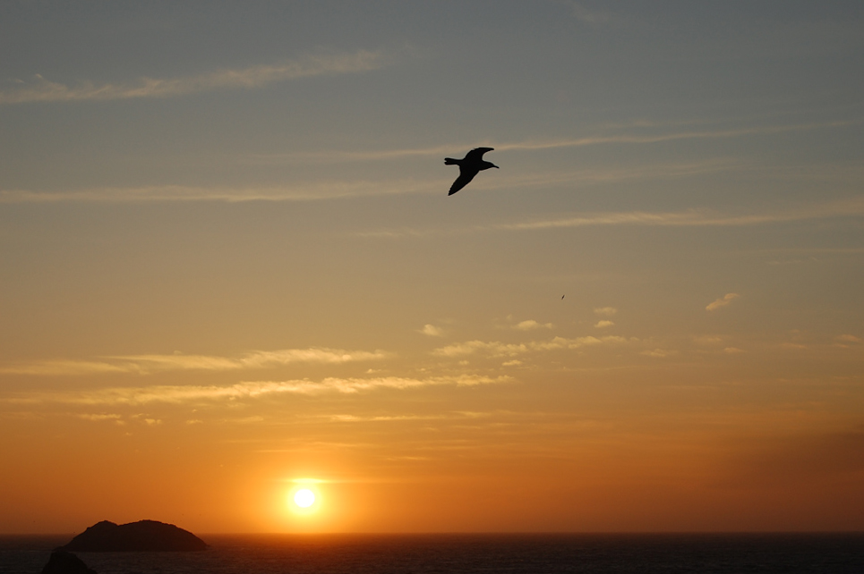 volo sul pacifico