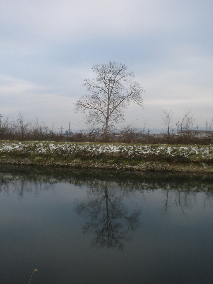 Riflessi...