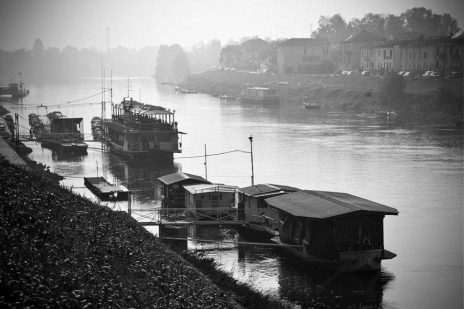 Pavia