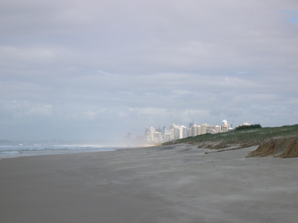 surf paradise