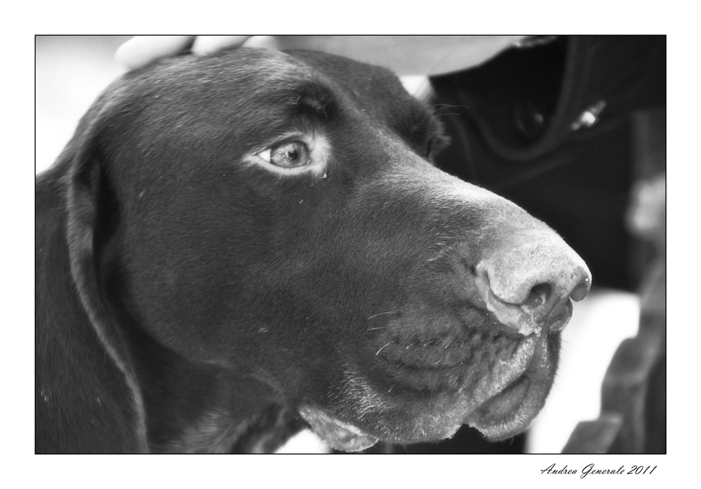 Testone BW