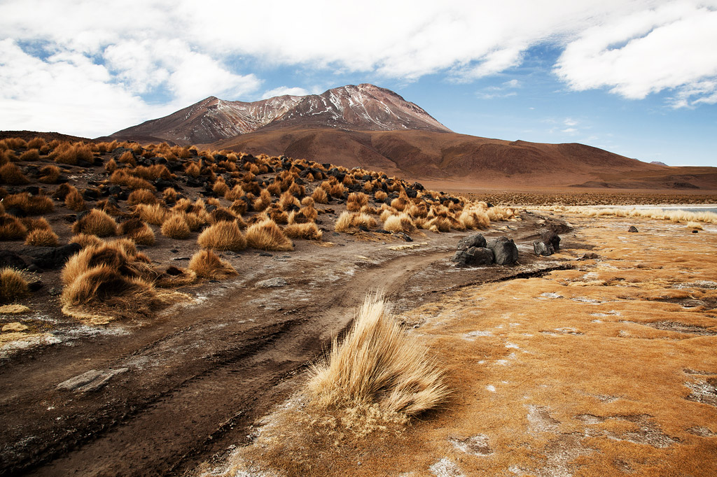 Uyuni #9