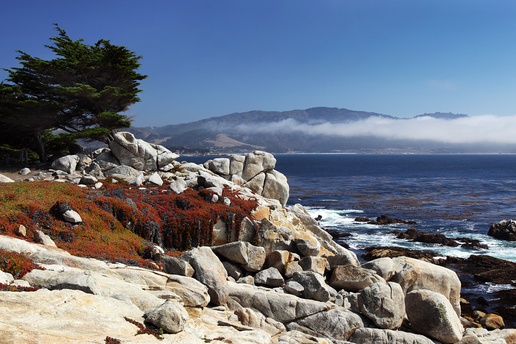 West Coast