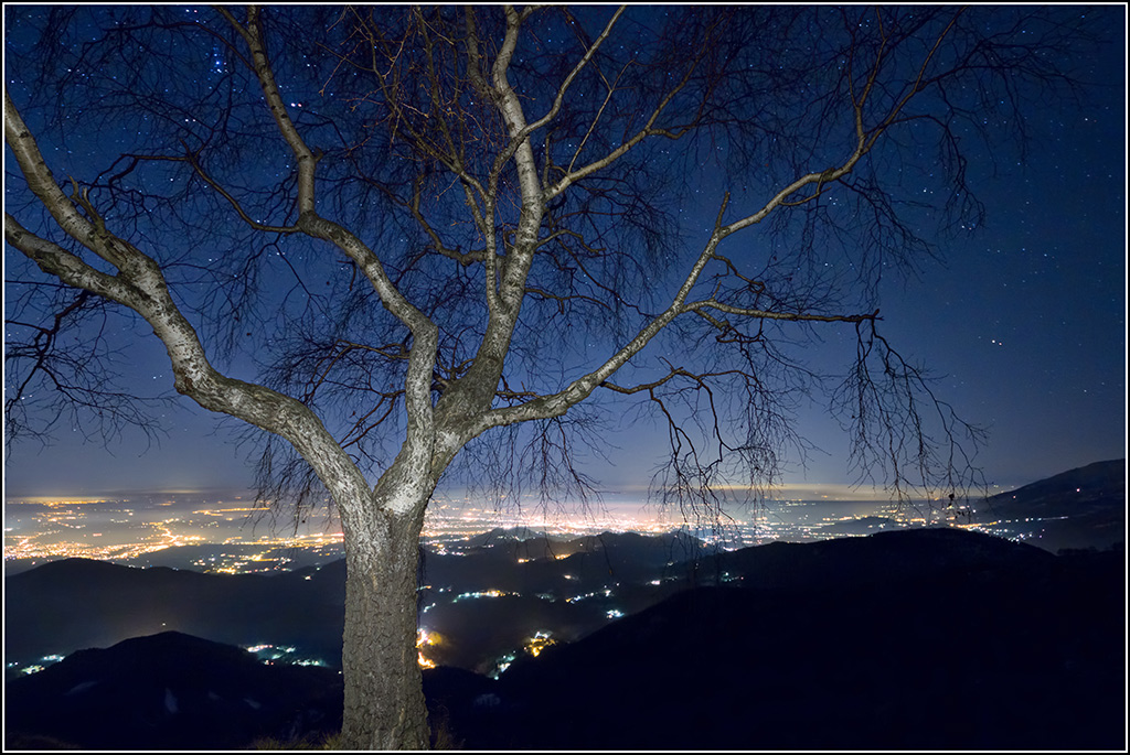 Notte Stellata