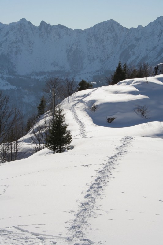 neve