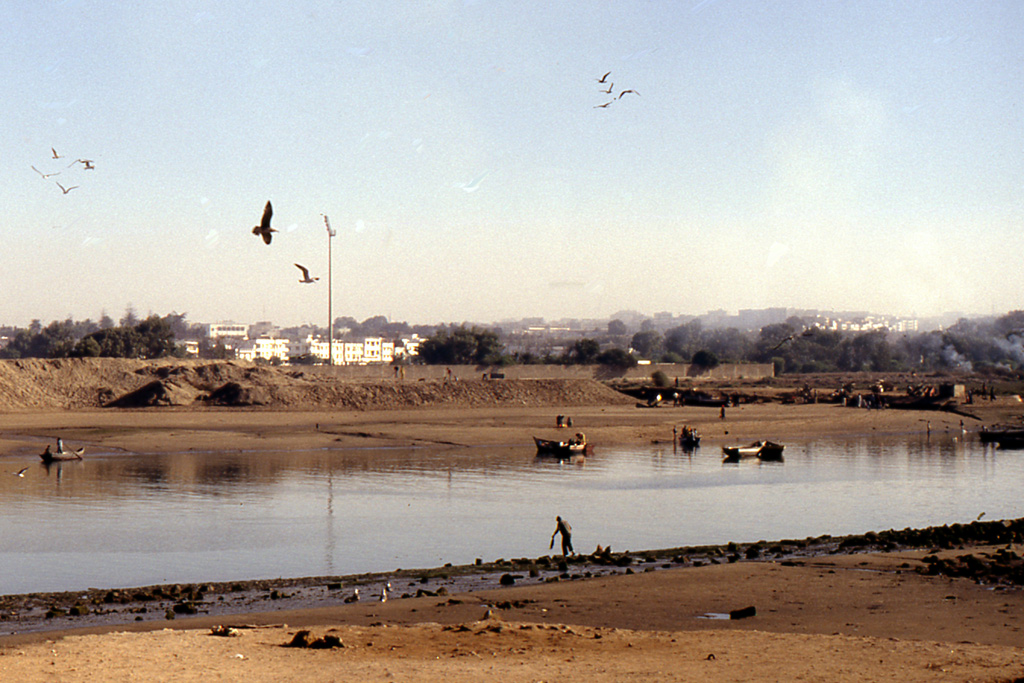 Sul fiume