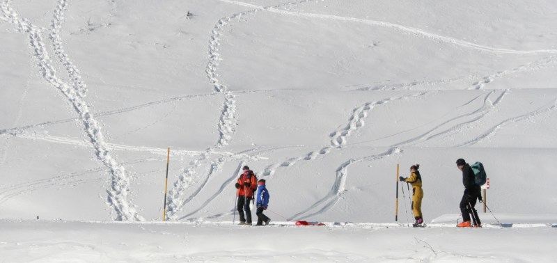 neve 02
