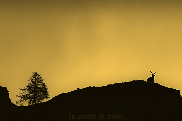 Un patrimoine commun - Une Montagne vivante - Ensemble protgeons-les
