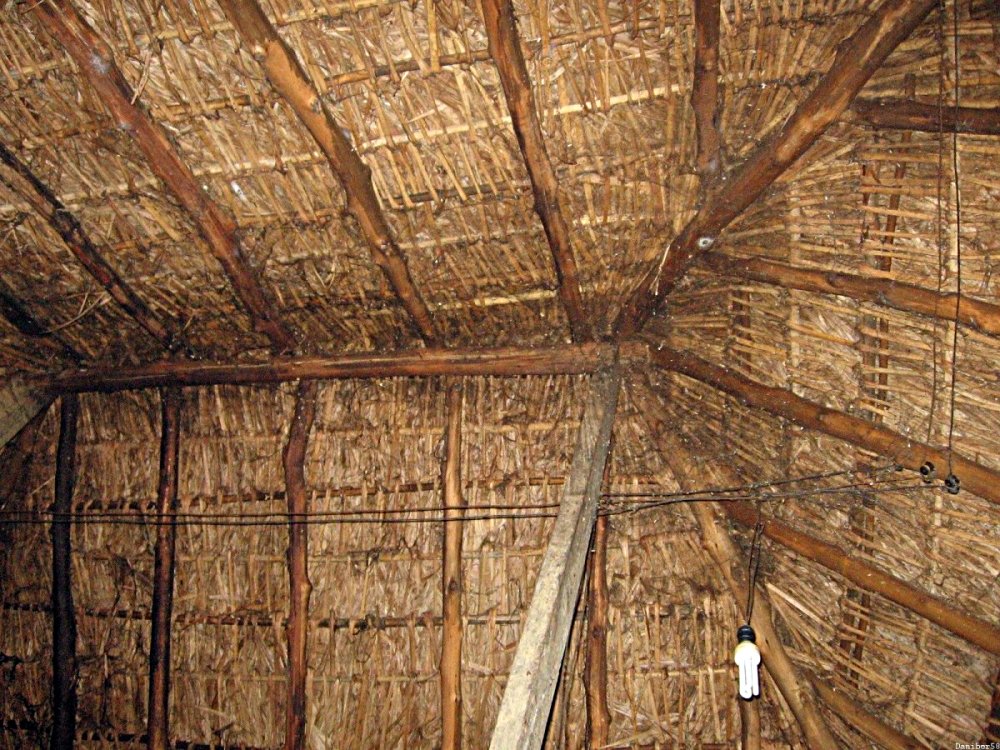 Ecologia Sem Terra - Brazil-Tocantins