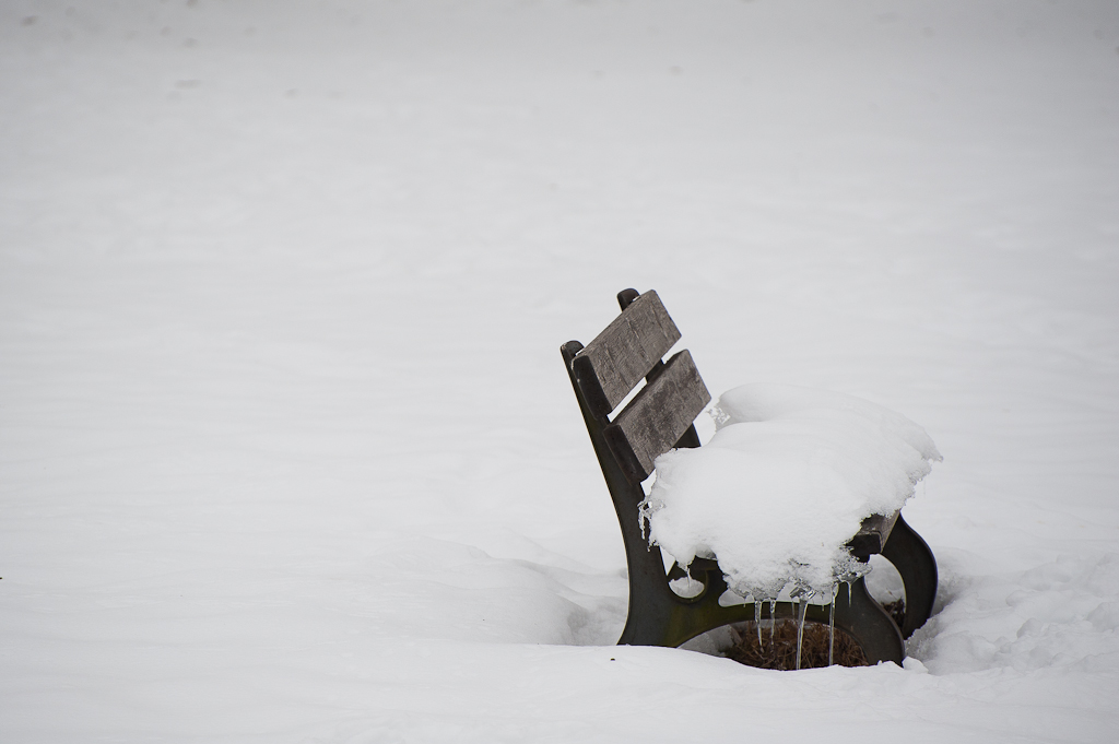 Winter Seat