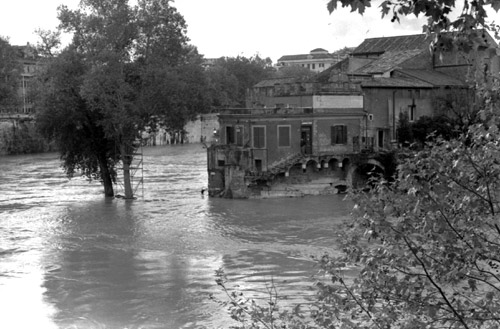 Piena 4