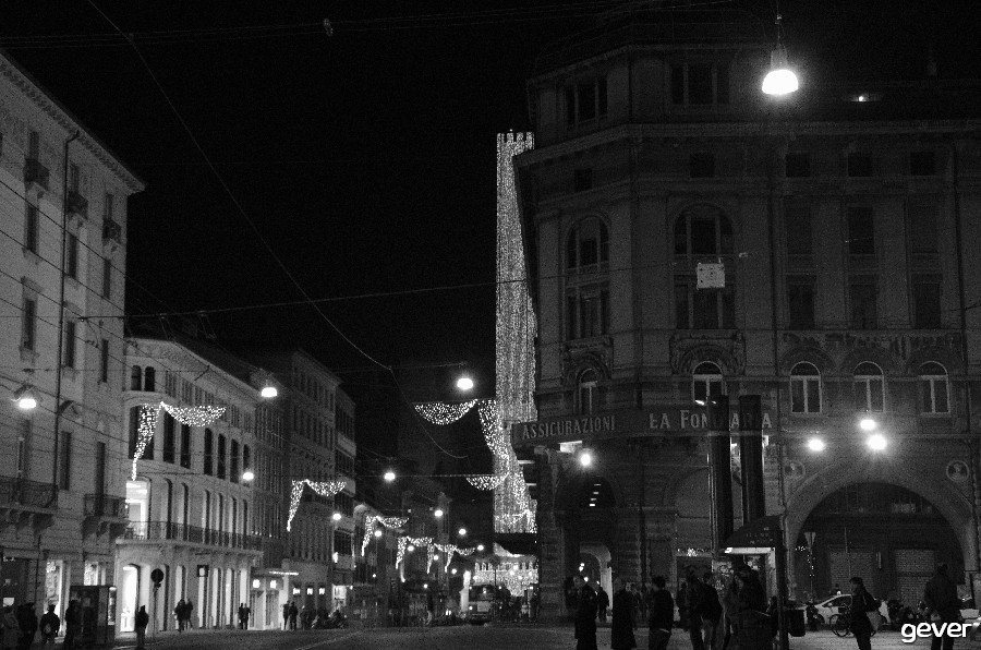 bologna1