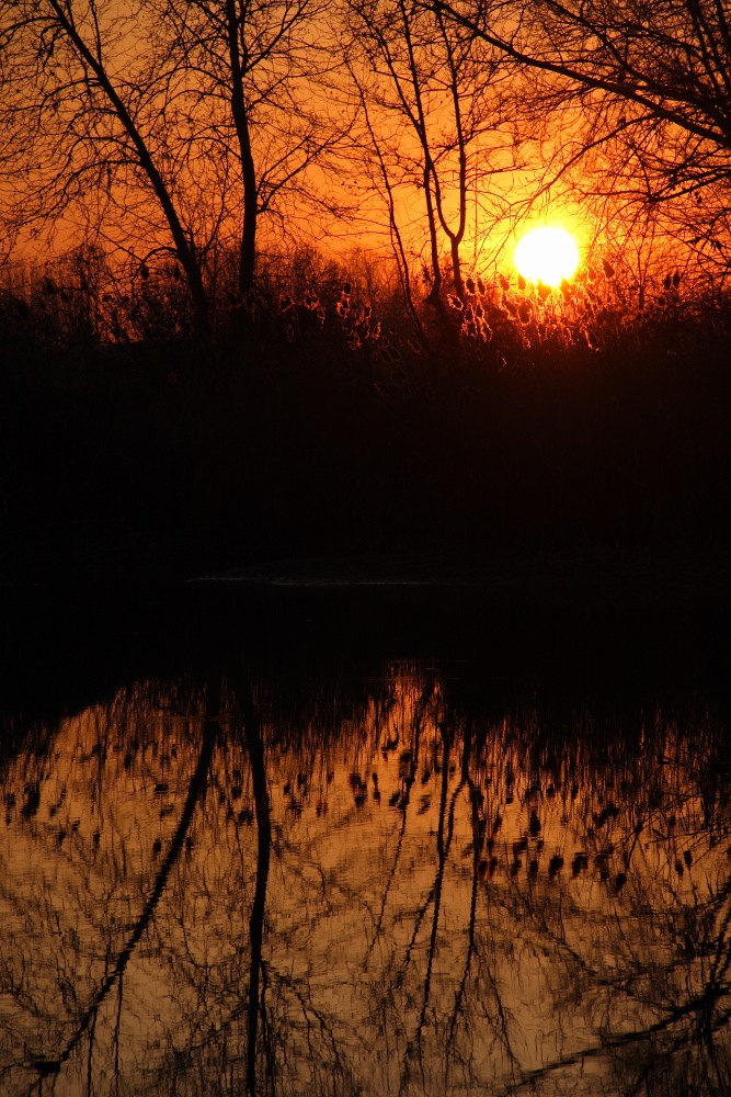 tramonto