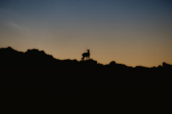 Bienvenue dans le monde petite crature...