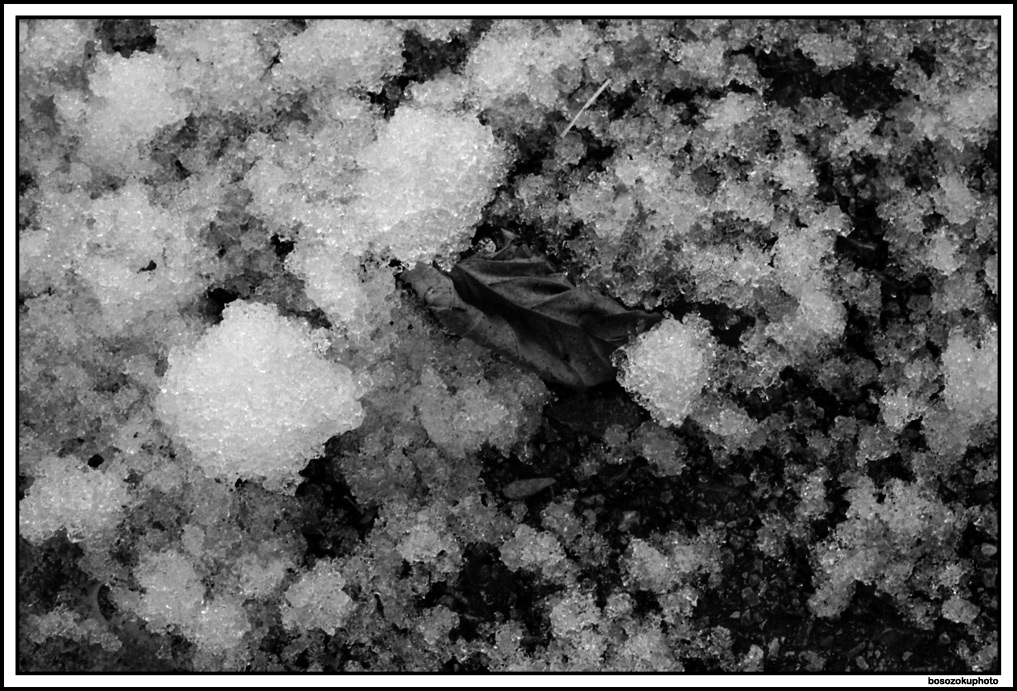 ex neve#1